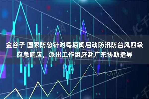 金谷子 国家防总针对粤琼闽启动防汛防台风四级应急响应，派出工作组赶赴广东协助指导