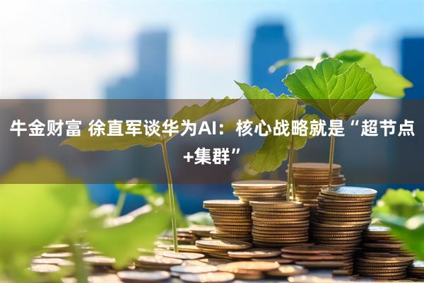 牛金财富 徐直军谈华为AI：核心战略就是“超节点+集群”