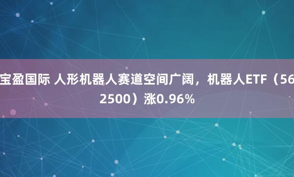 宝盈国际 人形机器人赛道空间广阔，机器人ETF（562500）涨0.96%